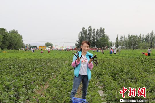 图为一名游客展示她摘的茄子。　袁晶 摄